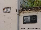 Plaza de la Constituci�n. Placas