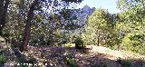 Era de la Huelga de los Olivos. 
