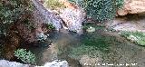 Arroyo de las Grajas. 