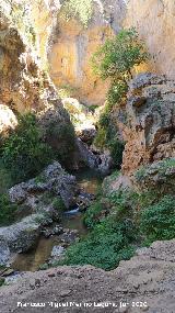 Arroyo de las Grajas. 