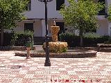 Fuente de la Plaza de Coto R�os. 