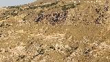 Cortijo de las Estaquillas
