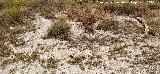 C�rculo del Cerro de la Mina