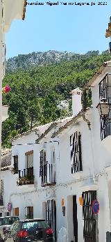 Calle Jos� Mar�a Jim�nez. 