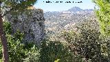 Torre de los Olivillos. Vistas