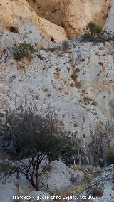 Cueva del Muralln. Plataforma con muros de mampostera desde la que subiran con escalas