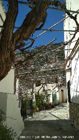 Aldea Don Pedro. Calle emparrada