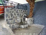 Fuente de las Caras. 