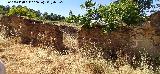 Aldea El Centenillo. Ruinas junto al campo de f�tbol