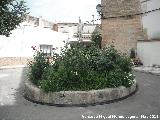 Fuente de la Iglesia de Garcez. 