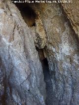 Castillo del Caballo. Cueva del castillo