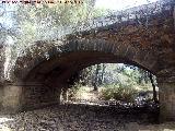 Puente de la Aliseda. 