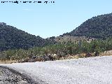 Cruce de Frailes. 