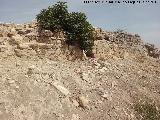 Castillo de Torreparedones. Muralla