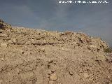 Castillo de Torreparedones. Muralla