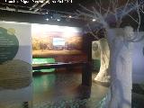 Museo Terra Oleum. 