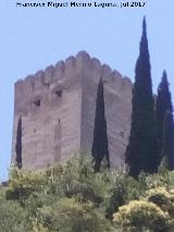 Alhambra. Torre del Homenaje. Desde el Darro