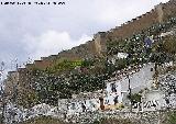 Murallas de Granada. 