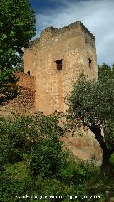 Alhambra. Torre del Cad. 