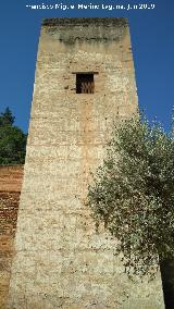 Alhambra. Torre del Cad. 