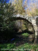 Puente Romano. Ojo del puente