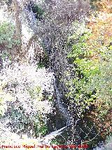 Ro Alhama. Cascada que hay pasado el puente romano hacia el balmeario