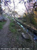 Molino de San Francisco. Acequia