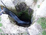 Molino de San Francisco. Entrada del agua al molino