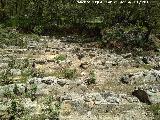 Necrpolis Visigoda de El Castelln. 
