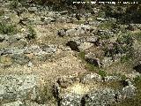 Necrpolis Visigoda de El Castelln. 
