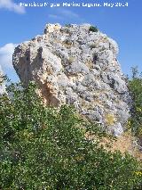 Castillo de las Peas de Castro. 