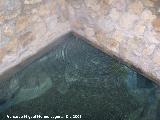 Balneario de Alicn de las Torres. Nacimiento de aguas termales