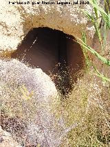 Mina de Agua del Llano de la Ermita. 