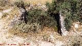 Dolmen X
