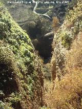 Tajo. 