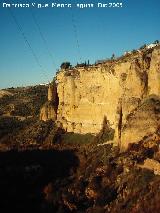 Tajo. 