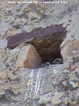 Pjaro Cerncalo - Falco tinnunculus. Nido. Castellar de la Frontera