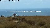 Isla de Tabarca. Desde el Mirador del Faro de Santa Pola