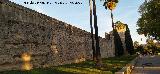 Alc�zar de Jerez. Muralla sur