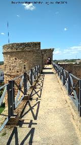 Adarve. Castillo de los Guzmanes - Niebla