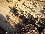 Poblado Musulmn de Los Casares. Habitculo para el ordeo de reses