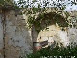 Convento de San Francisco. Moldura y arco