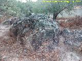 Necrpolis visigoda del Cerro Salido. Tumbas cercanas a la Cueva Alta de la Sepultura