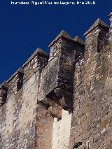 Matacn. Castillo de la Fuensanta - Villanueva del Arzobispo