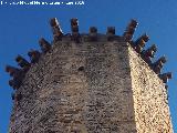 Matacn. Castillo de Torreperogil