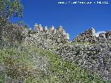 Muralla. Almenas y adarve