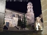 Catedral de Baeza. De noche