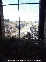 Catedral de Baeza. Torre. Ventana