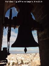 Catedral de Baeza. Torre. Campana