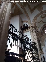 Catedral de Baeza. Interior. Rejas y balcn alto de la torre